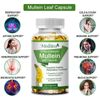 120 Mullein Leaf Capsules for Lung Cleansing&Deto