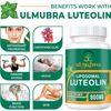 800MG Liposomal Luteolin Supplement - Maximum Absorption, Premium Antioxidant Su