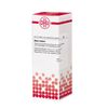 Ruta Extern DHU Extrakt, 20 ml Lösung