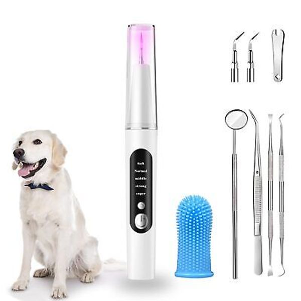 Plaque Remover for Teeth - 5 Modes Pet Ultrasonic Toothbrush Cleaner - Teeth ...