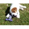 Petface Toyz Rope Chew Toy, Large