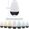 HealthSmart Aromatherapy Essential Oil Diffuser and Cool Mist Humidifier (500mL)