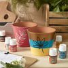 Pebeo 025-027 Ceramic, Enamel Effect Paint, 45 ml Bottle - Leaf Green