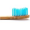 Adult Blue Medium Toothbrush 1 Brush
