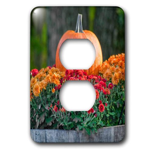 3dRose TDSwhite – Fall Seasonal Nature Photos - Fall Harvest Scene Autumn Flowers Mums Perfect Pumpkin - 2 plug outlet cover (lsp_321844_6)