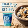 Plant Based Protein Powder Fermented Pea Protein Vanilla, Vegan Prote