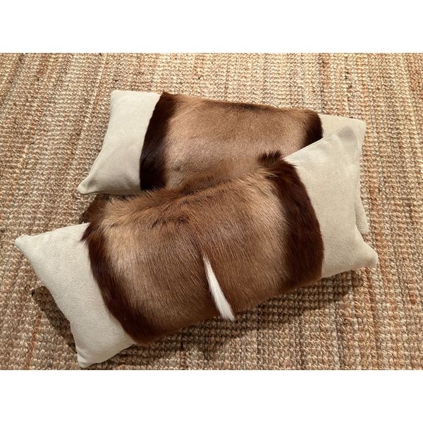 Springbok Pillow Cases (set of 2) Size:21x10"  Springbok Cushion Case