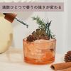 Quikaboo Aroma Stone Diffuser, Aroma Diffuser, Natural Stone, Crystal, Crystal, Oil Stone, Gift (Orange)