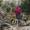 Hurtta Active Dog Harness, Raven, 39-47 in