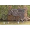 CamoSystems Basic Series Ultra-Lite Camouflage Netting, Small, 7'10" x 9'10"L, Original Camo - Green/Brown