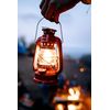 Stansport Replacement Glass Globe for Item#130 (131)