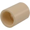 Charlotte Cpvc/cts Coupling S X S25