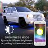 Bluetooth LED Motorcycle Underglow Accent Light For Harley Davidson Blackline