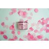 Erasuchin Hakasakura E-Hasakura Moisture Gel (Gel-shaped Beauty Solution)