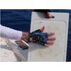 Camillus Cool & Dry Gloves With Sweat Absorbing And Cooling Patch Fingerless