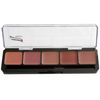 Lip Palettes (Cool Lip Palette)