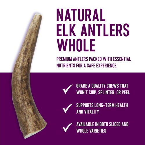 Health Extension Natural Elk Antlers for Dogs, Medium Whole – Long-Lasting Chews for Aggressive Chewers, Dental Health Promotion, Ideal Puppy Training Treat