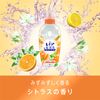 Lenor Super Deodorizing 1week Fabric Softener, Citrus, Main Unit, 18.9 fl oz (530 ml)