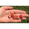 Red Jasper Crystal Small Tumbled Stones - 5 Pc