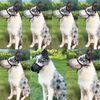 Muzzle for Large Dogs - Prevent Chewing/Eating/Biting, Breathable, Reflective, Adjustable for Medium Dogs (Black, L)
