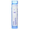 BOIRON Carbo Vegetabilis 6 C, 80 CT