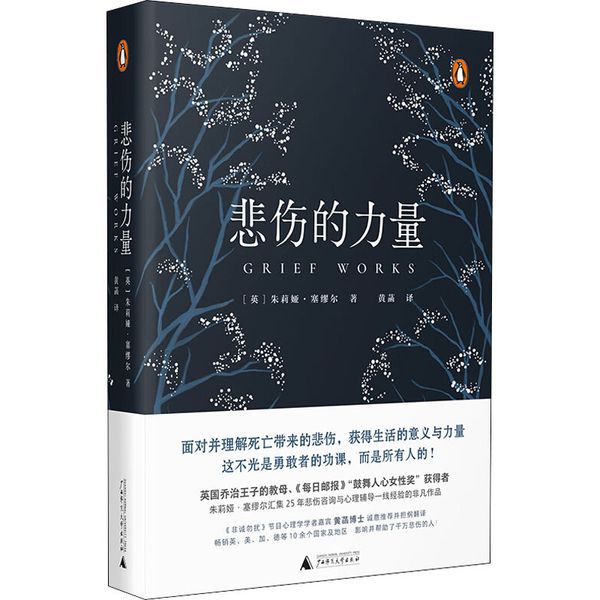 悲伤的力量 广西师范大学出版社