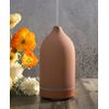Essential Oils for Diffusers for Home,Ceramic Diffuser for Essential Oils,Handmade Aroma Diffuser 100ML (Pottery Red)