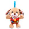 VTech Baby Cuddle and Sing Puppy