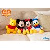 CCP Warm Plush Mickey Friends Mickey KS-AN66-MK