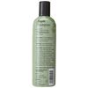 Hollywood Beauty Argan Shampoo 12 Oz