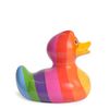 Ducks in the Window Rainbow Bud Deluxe Rubber Duck