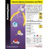 Platinum Tools 18121 UY-Gel FIlled 22-26AGW-25pc