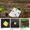 Econfort House Sponge Wipe Colander Kata Kamome