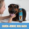 BIO-GROOM Bronze Luster Dog Shampoo 12oz