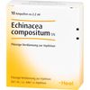 Echinacea COMPOSITUM SN Ampoules Pack of 10