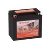 Carter Brothers 150CC FX150, 2004-2005 Go Kart Replacement Battery