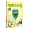 TOUCH Corporation Collection Food Sample Making Kit Cream Soda