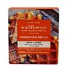 Bath and Body Works Pumpkin Pecan Waffles Wallflower Refill 2 Bulbs