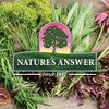 Nature's Answer Black Walnut & Wormwood | 2,000mg | Vegan, Non-GMO, Gluten-Free & Alcohol-Free | Promotes Gut Function | 1 Oz (2 Pack)