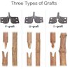 Grafting Tool Kit, Garden Pruner Tools, Perfect For Fruit Trees Grafting,