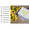 Winter Honeysuckle & Elderflower Highly Scented Soy Wax Melts