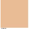 COVERGIRL Simply Ageless Instant Fix Advanced Concealer, Light