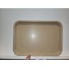 Size B Autoclaveable Flat Instrument Tray Plastic Blue and Tan