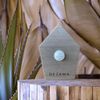 Dejama Singing Birds Tweet Box Bathroom Sensor