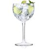 AIOS Unbreakable Polycarbonate Wine/Spritzer/Gin Glass. Capacity 400ml (2)