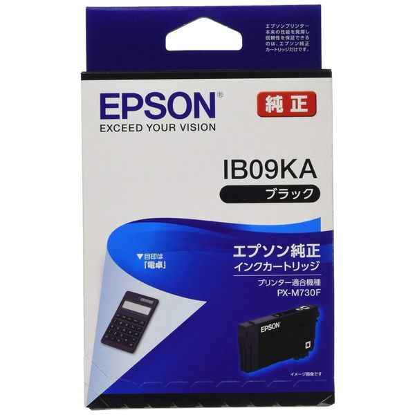 Genuine Epson IB09KA Black Standard Ink Cartridge