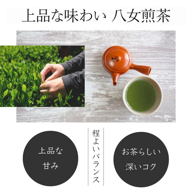 YaMECHA Green Tea Sencha 3.5 oz (100 g) S-10 YaMECHA no Sato