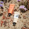 SPONGELLÉ Beach Grass Hand Cream, 57 millilitre