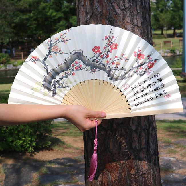 Korean folding fan (apricot blossom)