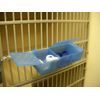 Cage Caddy Blue Polypropylene Store Personal Items Pet Canine Dog Cat
